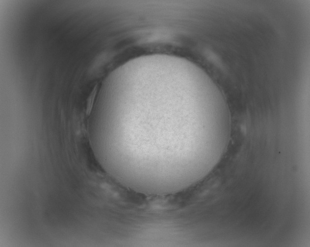 X0000081290965200702082014