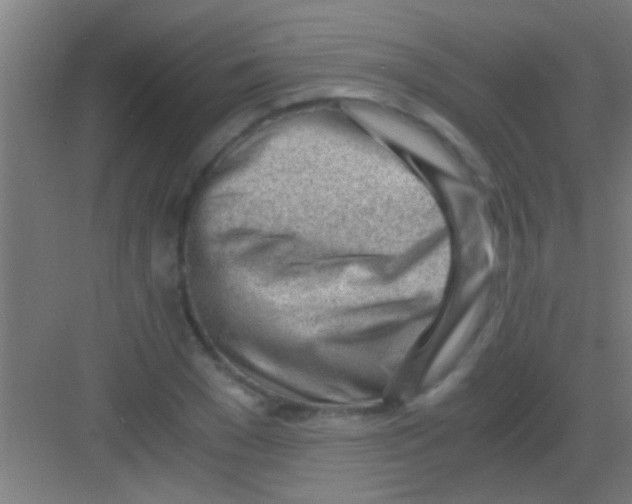 X0000081290977200702082014