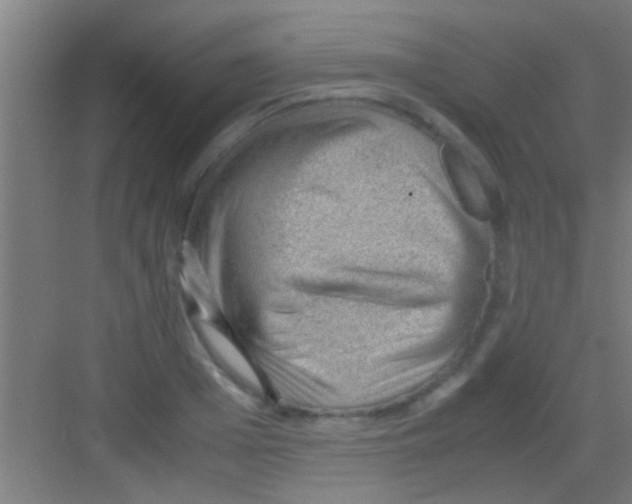 X0000081290985200702082014