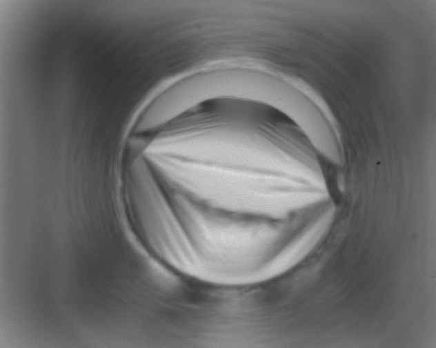 X0000081291005200702082014