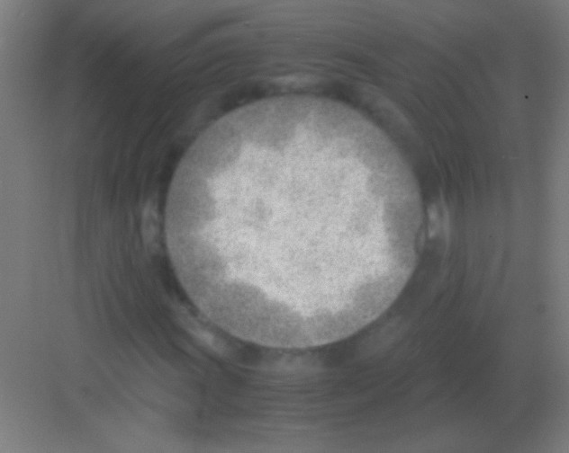 X0000081291011200702082013
