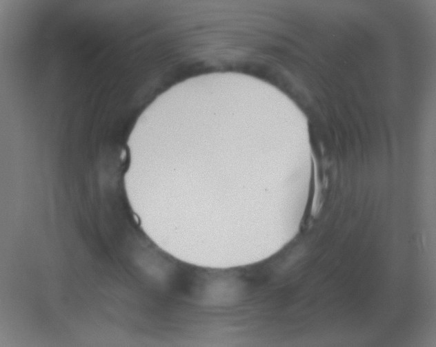 X0000081291012200702082013