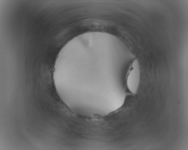 X0000081291013200702082013