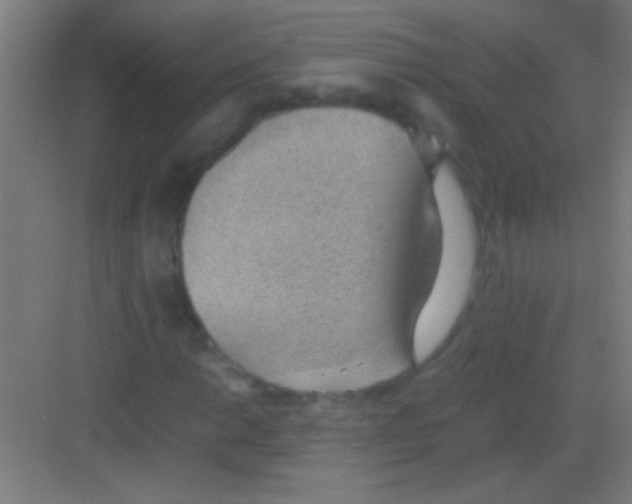 X0000081291014200702082013