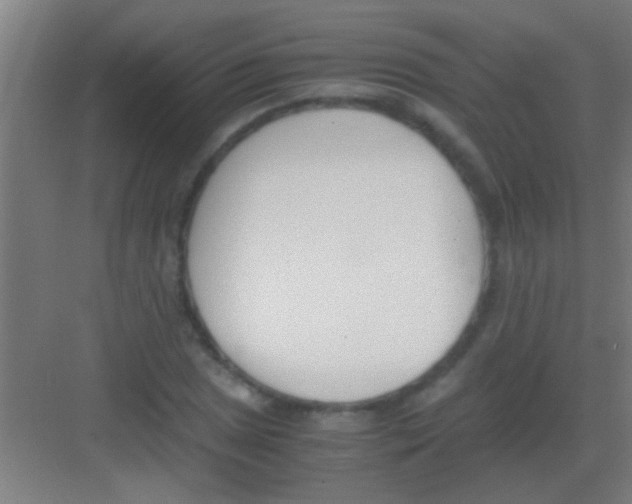X0000081291025200702082013