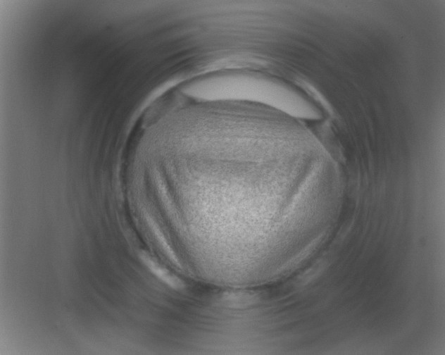 X0000081291026200702082013