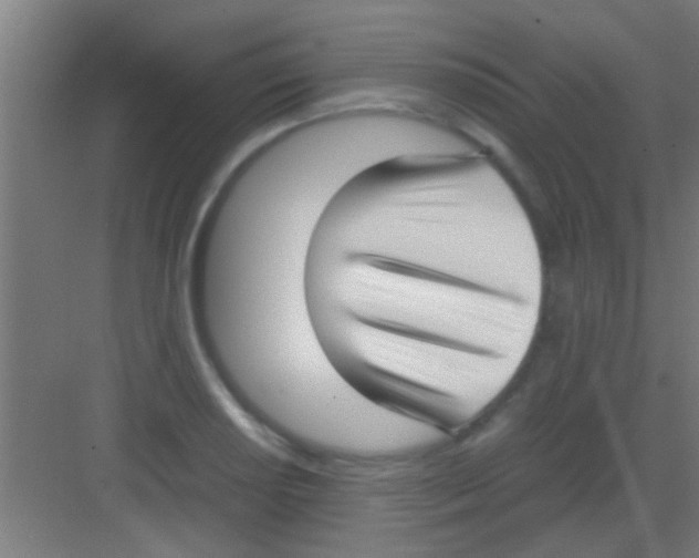 X0000081291034200702082013