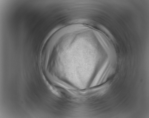 X0000081291050200702082013