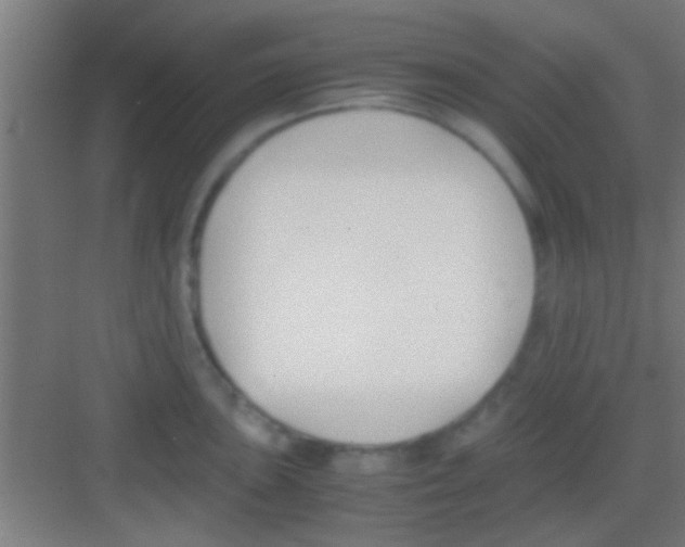 X0000081291051200702082013