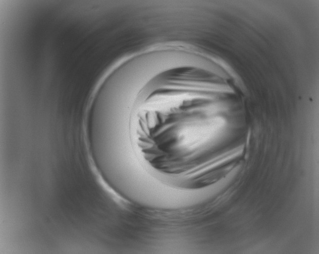 X0000081291054200702082014