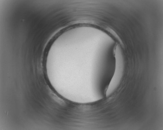 X0000081291068200702082013