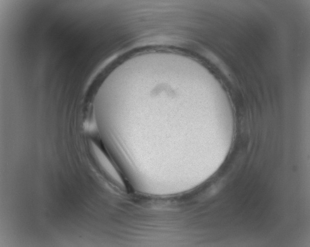 X0000081291069200702082013