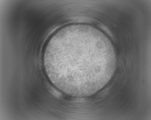X0000081291071200702082013