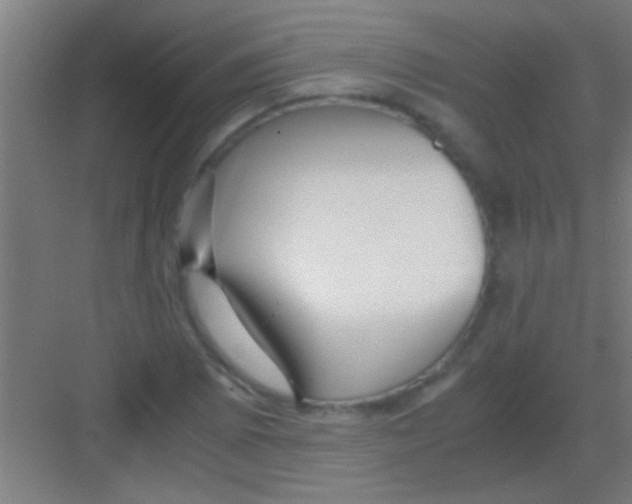 X0000081291073200702082012