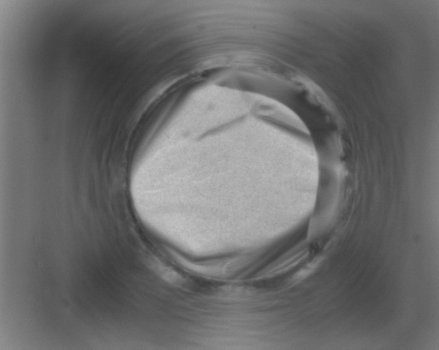 X0000081291081200702082012