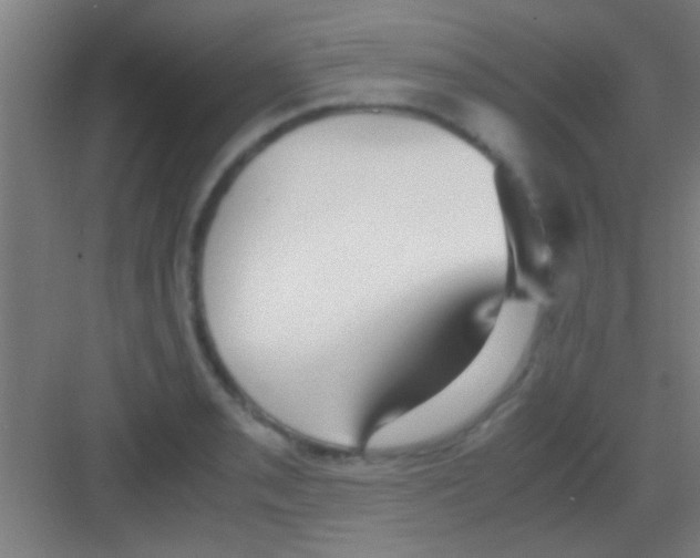 X0000081291085200702082012