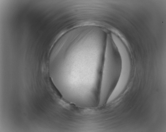 X0000081291097200702082012