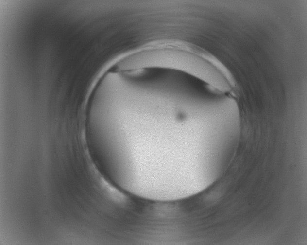 X0000081291102200702082012