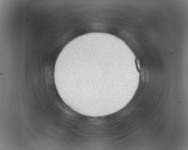 X0000081291107200702082011