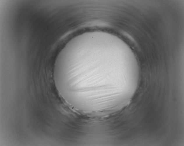 X0000081291112200702082011