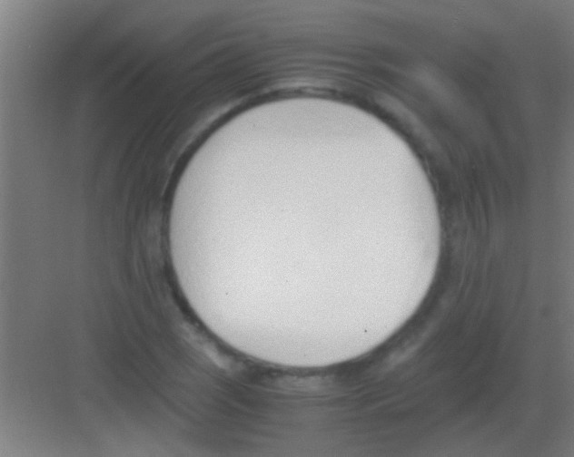 X0000081291121200702082011