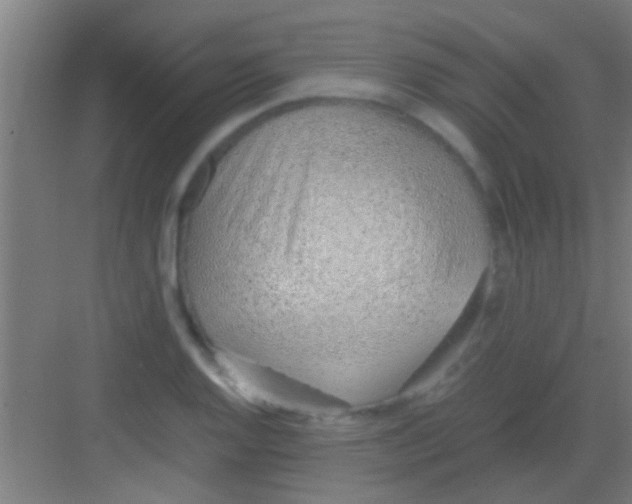 X0000081291128200702082011