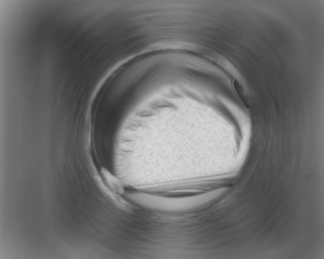 X0000081291132200702082012