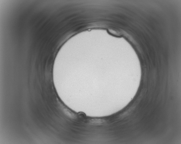 X0000081291137200702082012