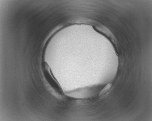 X0000081291138200702082012