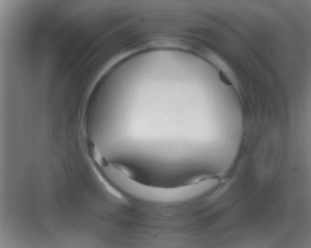 X0000081291141200702082012