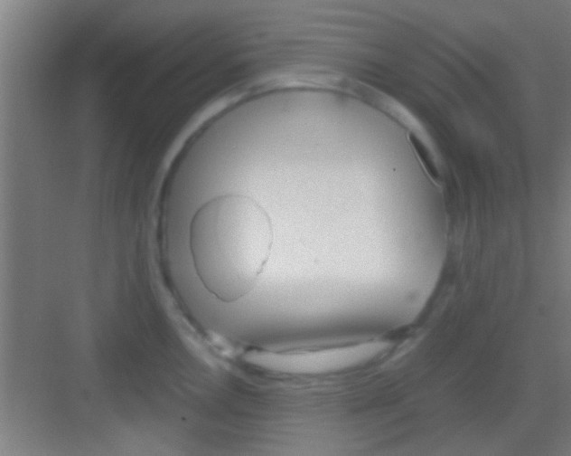 X0000081291146200702082012