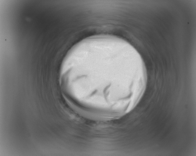 X0000081291153200702082011