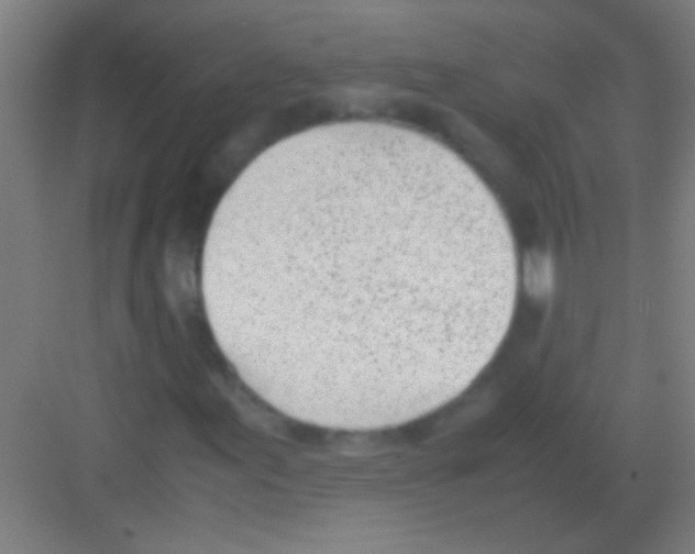 X0000081291155200702082011