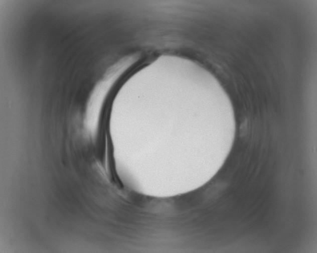 X0000081291156200702082011