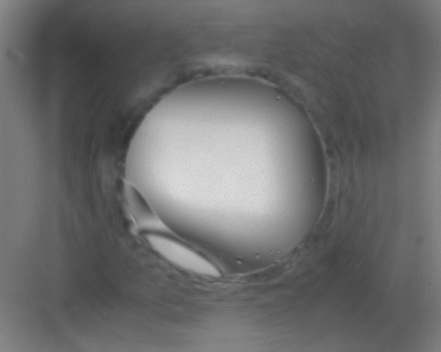 X0000081291157200702082011