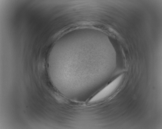 X0000081291161200702082011