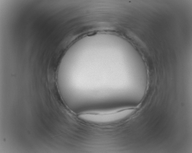 X0000081291169200702082011