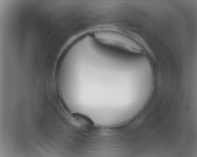 X0000081291176200702082011