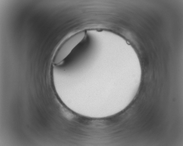 X0000081291181200702082011