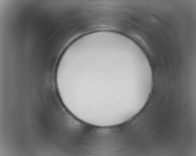 X0000081291182200702082011