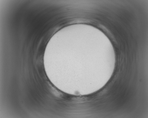 X0000081291185200702082011