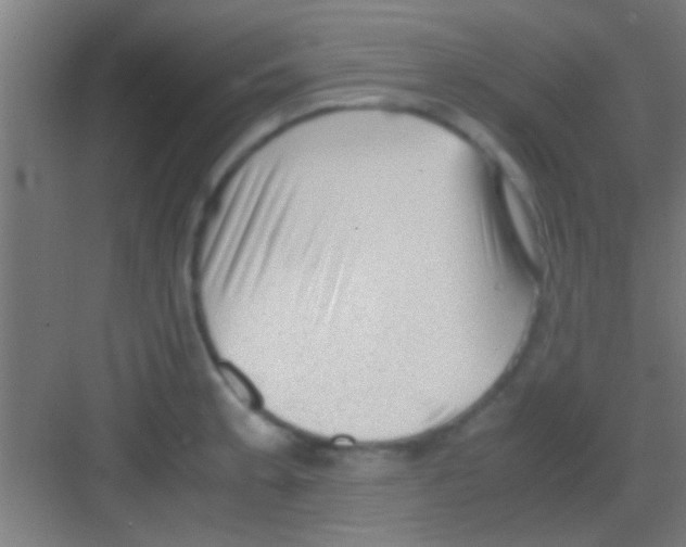 X0000081291189200702082010