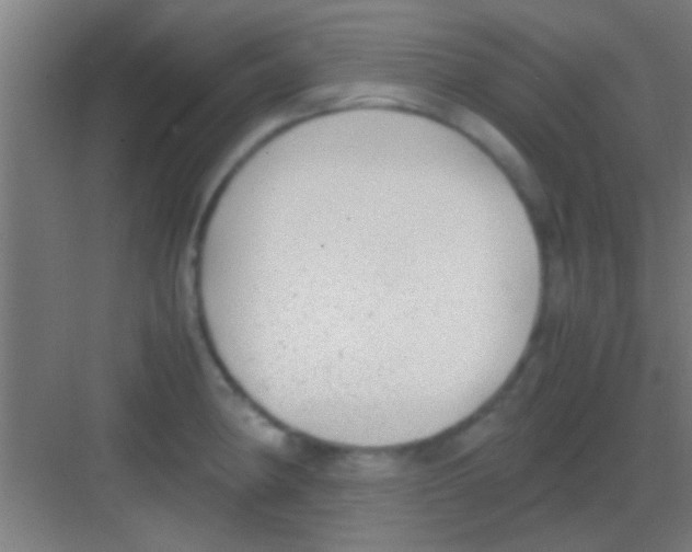 X0000081291190200702082010