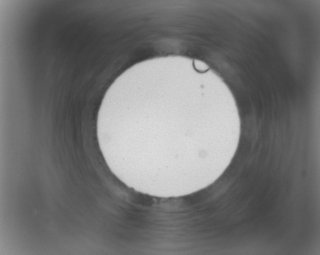 X0000081291201200702082009