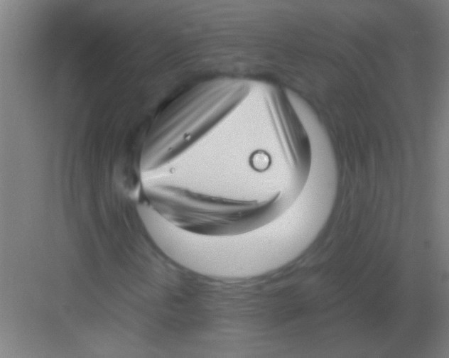 X0000081291202200702082009