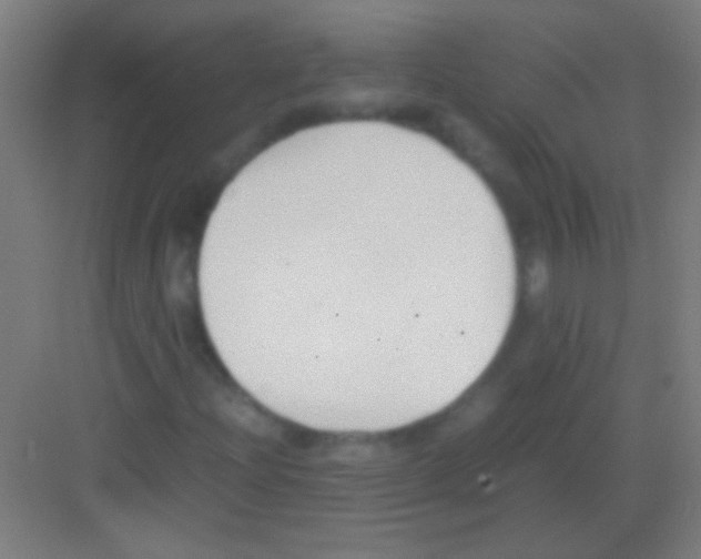 X0000081291204200702082010