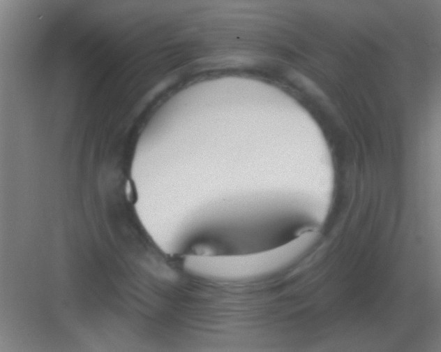 X0000081291210200702082010