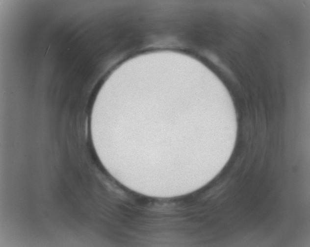 X0000081291221200702082010