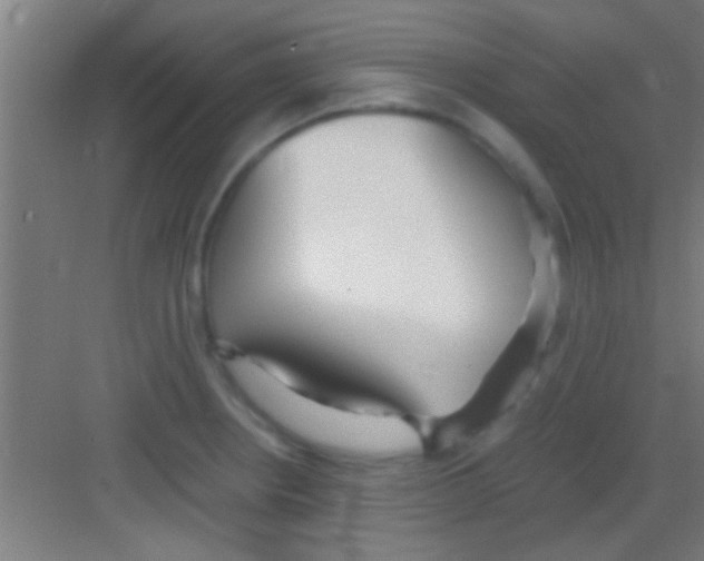 X0000081291234200702082010