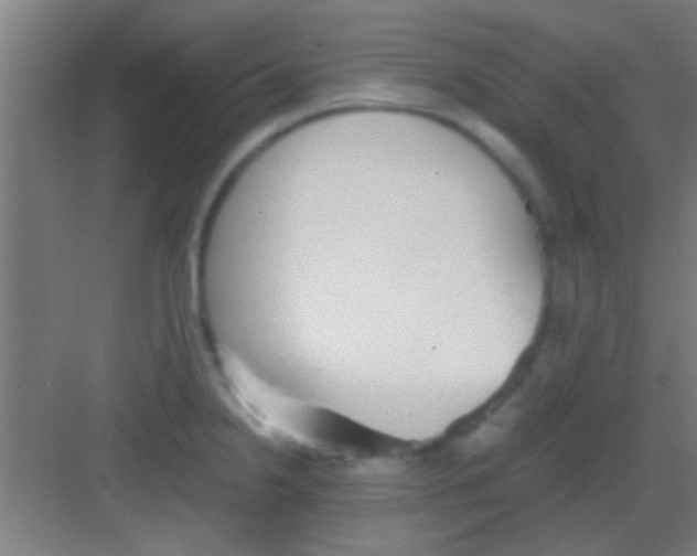 X0000081291238200702082010